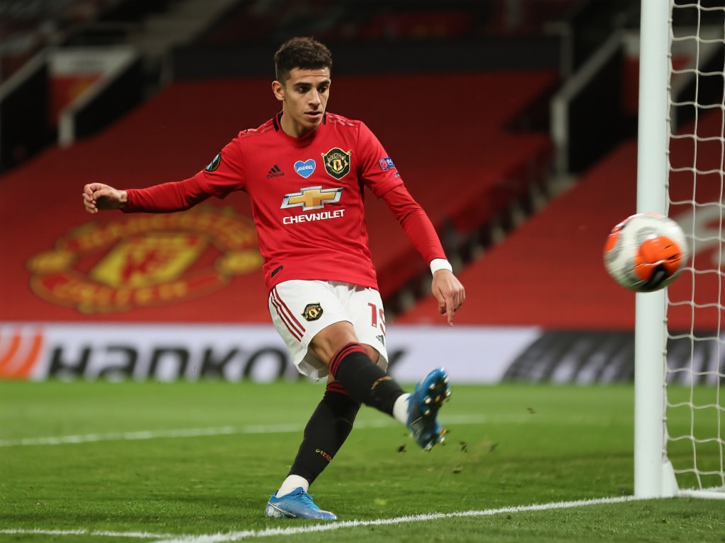 无数球迷的 无数球迷的