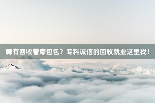 哪有回收奢靡包包？专科诚信的回收就业这里找！