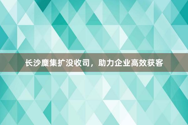 长沙麇集扩没收司，助力企业高效获客