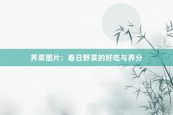 荠菜图片：春日野菜的好吃与养分