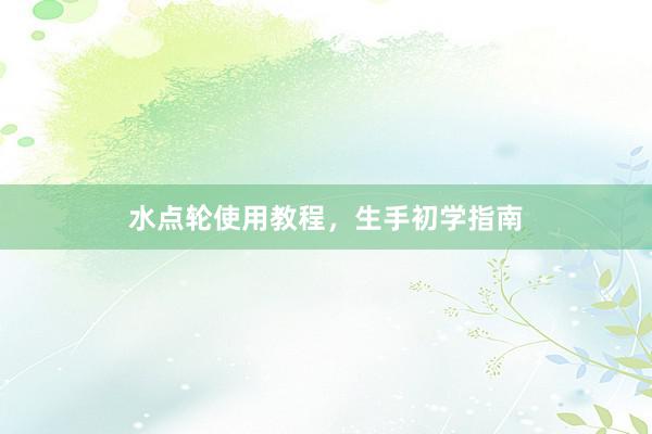 水点轮使用教程，生手初学指南