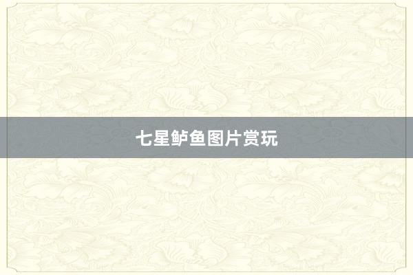 七星鲈鱼图片赏玩