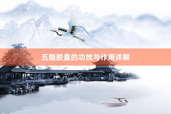 五酯胶囊的功效与作用详解
