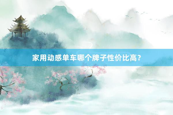 家用动感单车哪个牌子性价比高？